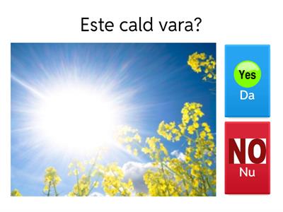 VARA - Da sau Nu? (SUMMER - Yes or No?)