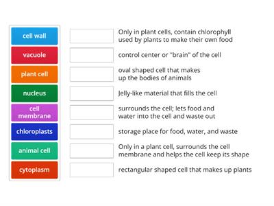 Cell Organelles