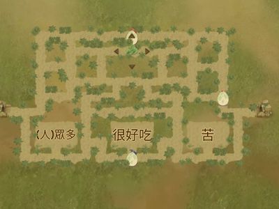 南排-特徵02-迷宮