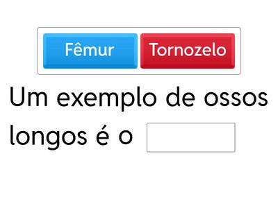 Complete as frases corretamente de acordo com o que aprendeu sobre o Sistema Locomotor!