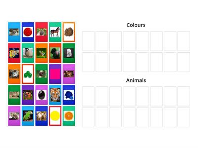 Colours&Animals