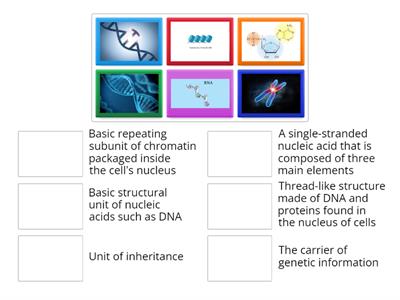 Molecular Biology 