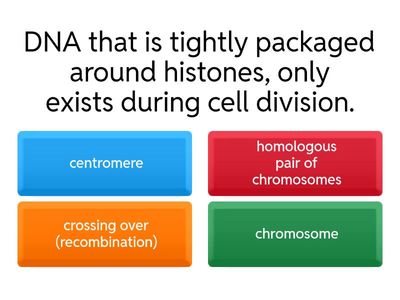 Quiz: Meiosis Vocabulary