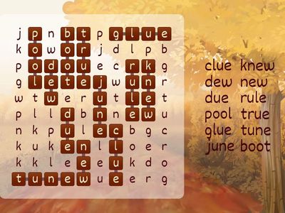 Spelling List 10: oo