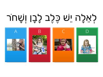 משפטים ותמונות