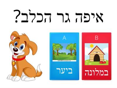 איפה גרות החיות?