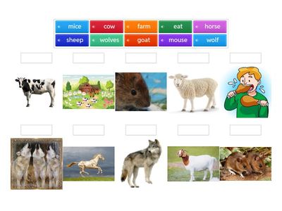 Smart Junior 3 m3 smart kids