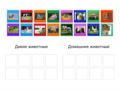 Конспект занятия на тему "Домашние и дикие животные" средняя группа