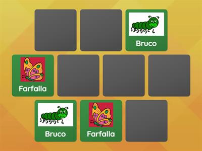 Memory: Il Bruco e la Farfalla