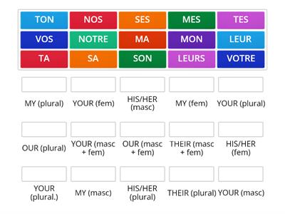 FRENCH POSSESSIVE ADJECTIVES