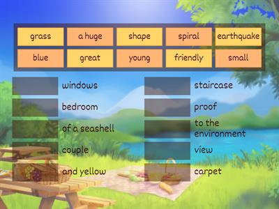 Life in a shell. Matching.