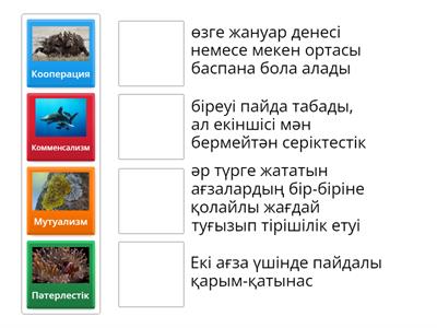 Мексикалық секс демалысы 2