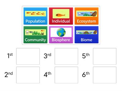 Ecological Levels of Organization 