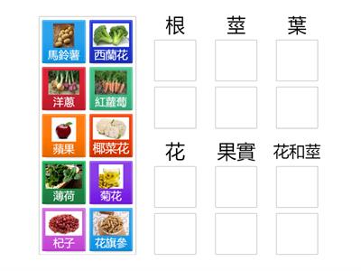 3.2.4 植物與生活_1哪些植物可以食用