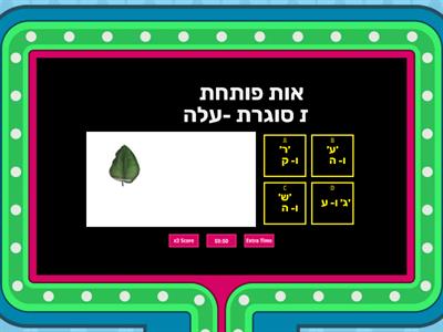 אות פותחת אות סוגרת