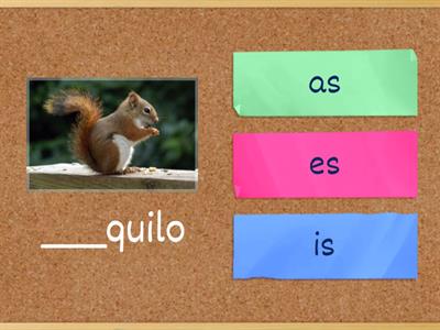 as / es / is / os / us