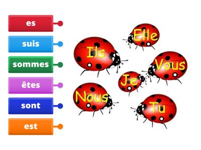 Les coccinelles Etre