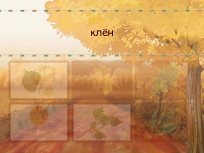 Листья деревьев