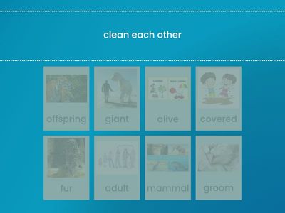 Unit 2 Text Set 1 Wonders Vocabulary Grade 2