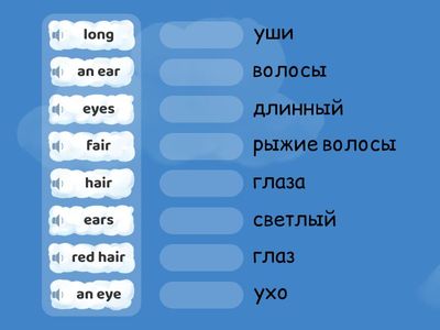 Слова тема тело человека 3 класс