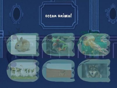 Sort the animals into groups