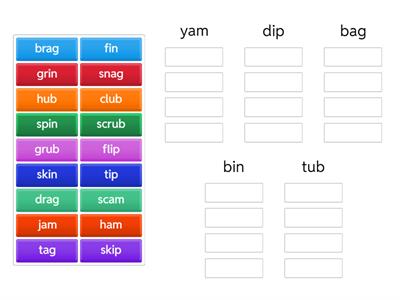 Word family sort -ag -in -ub -am -ip