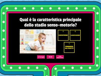 GLI STADI DELLO SVILUPPO COGNITIVO - GRUPPO 6