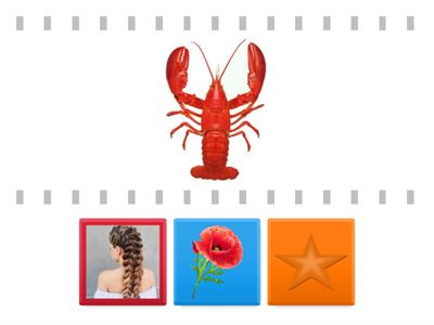 Знайди рими