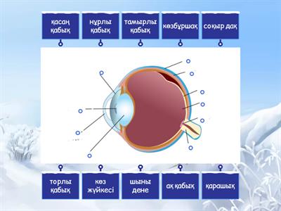 Көздің айналуы, құрысулар және қарқынды оргазм