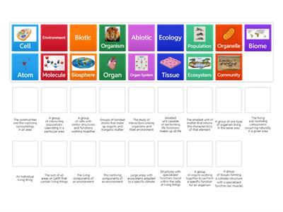 Biological Levels of Organization