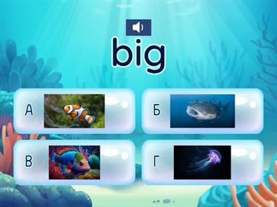 Ocean Animals | Adjectives | Speaking Club | Quiz