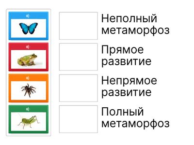 Сопоставьте животное и тип его развития