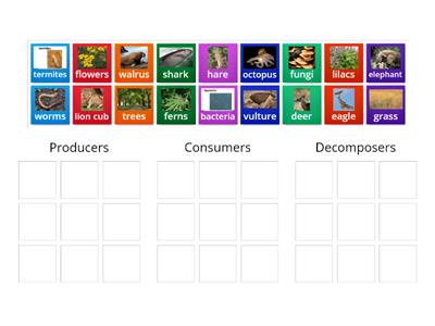  Producers, Consumers and Decomposers 