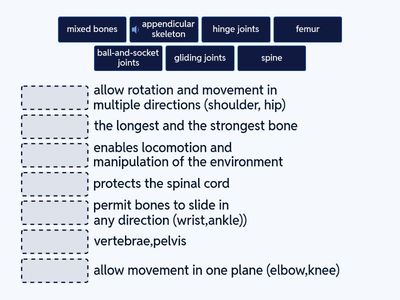 The Skeletal System Functions