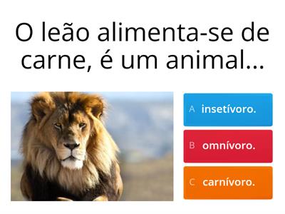 Animais e suas características