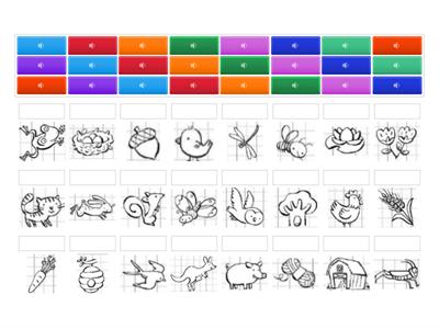LESSICO ELEMENTARE 1 - Aloisio