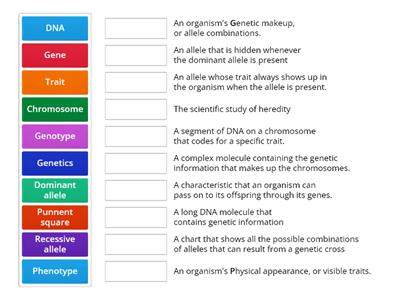 Genetics