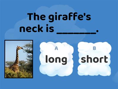 big small short long