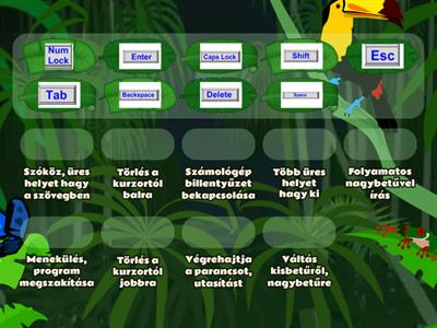 billentyűzet