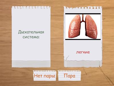 МЦКО Окружающий мир 4 класс Системы организма