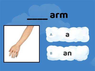 'a' or 'an' QUIZ