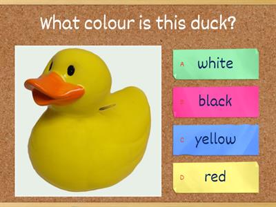 What colour is this ...?