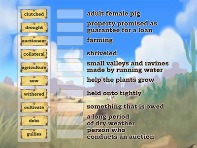 Leah's Pony - Vocab Match