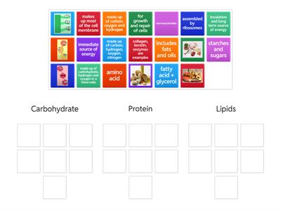 Biological Molecules 