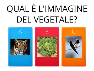 ANIMALI -VEGETALI