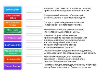  10 класс_ВИ_Теории происхождения человека
