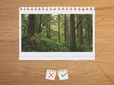 pre intermediate unit 2 solution 