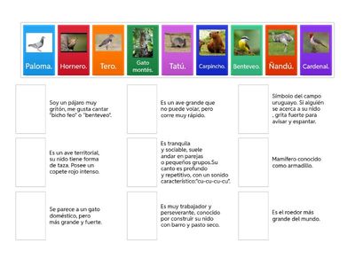 Identifica al animal .