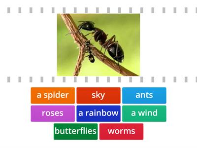 Nature vocabulary part 2