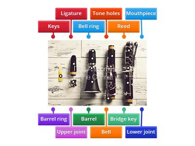 Clarinet Anatomy